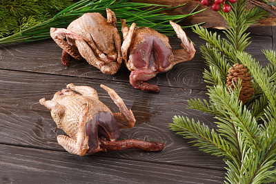 Превью Вяхирь осенний дикий