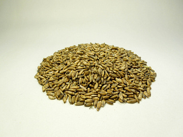 Расторопша (семена) Фото Расторопша (семена)