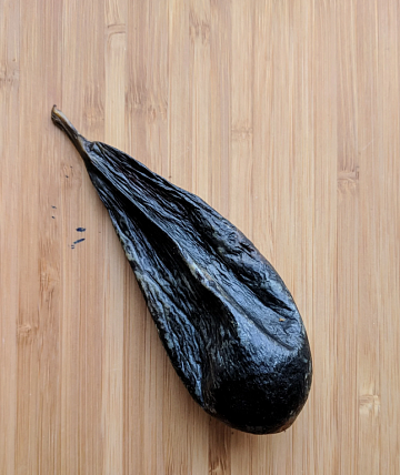 Желчь медведя вяленая (50-70гр) Фото Желчь медведя вяленая (50-70гр)