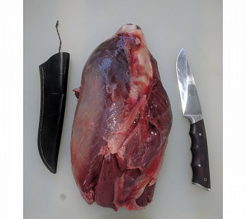 Фото Голяшка лося (для запекания)