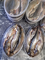 Хариус солёномороженный