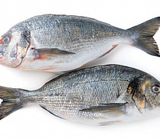 Дорадо с/м (400-600г) коробка 5 кг