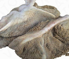 Желудок марала (не очищенный, резанный)