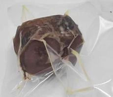 Рулет из пашины коня