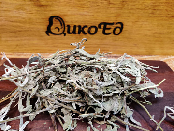 Шалфей лекарственный сушеный Фото Шалфей лекарственный сушеный