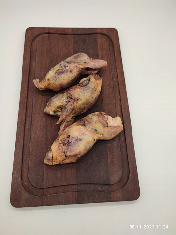 Фото Перепел Дикий