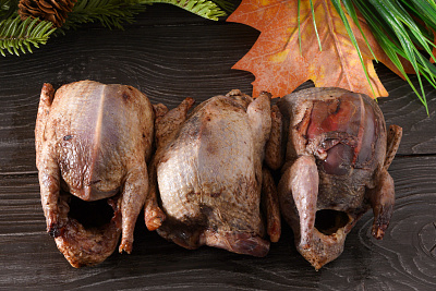 Превью Вальдшнеп(без пера)весенний