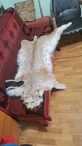 Превью Ковер из рыси 140 см с когтями