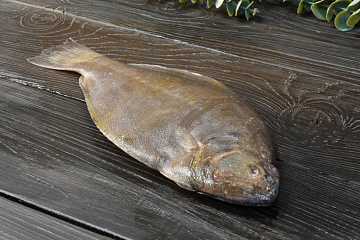 Фото Морской язык дикий замороженный не потрошенный