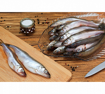 Корюшка малоротая 12-15см свежемороженая Фото Корюшка малоротая 12-15см свежемороженая