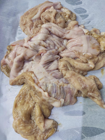 Желудок марала очищенный(резанный) Фото Желудок марала очищенный(резанный)