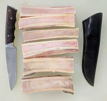 Мозговая косточка лося Фото Мозговая косточка лося