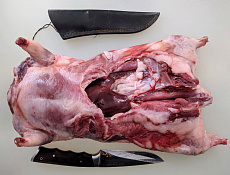 Нутрия тушка 5+