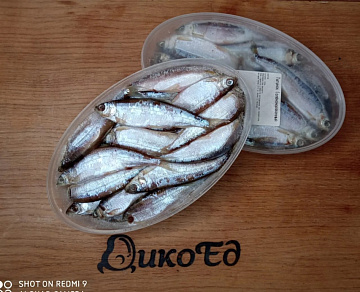 Фото Тугунок соленомороженный 1,1-1,2 кг