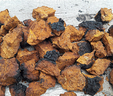 Березовый гриб чага (кусковой)