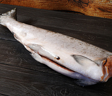 Чавыча штучной заморозки потрошеная без головы 5+ кг