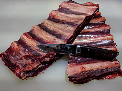 Превью Ребра лося на кости