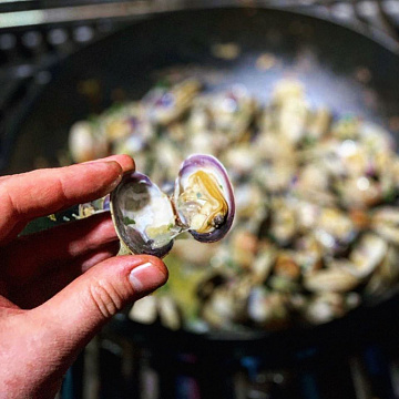 Вонголе сахалинские Фото Вонголе сахалинские