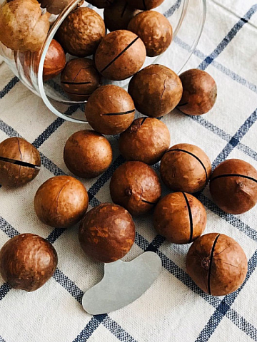 Фото Макадамия в скорлупе калибр 25-28