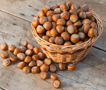 Фото Фундук в скорлупе (500 г)