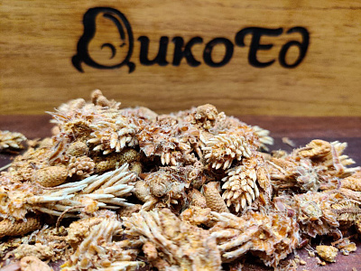 Превью Почки сосны сушеные