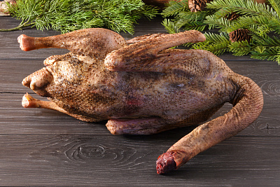 Превью Гусь (дикий) осенний 