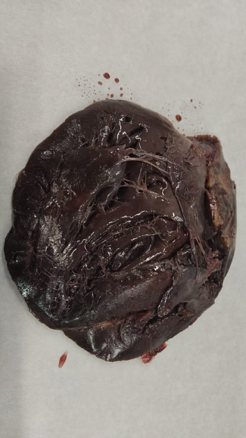 Сердце тюленя "Лахтак" Фото Сердце тюленя "Лахтак"