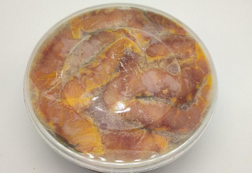 Стерлядь филе слабосоленая  из охлажденной рыбки Фото Стерлядь филе слабосоленая  из охлажденной рыбки