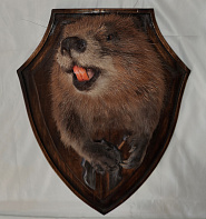 Бобр с лапами на медальоне