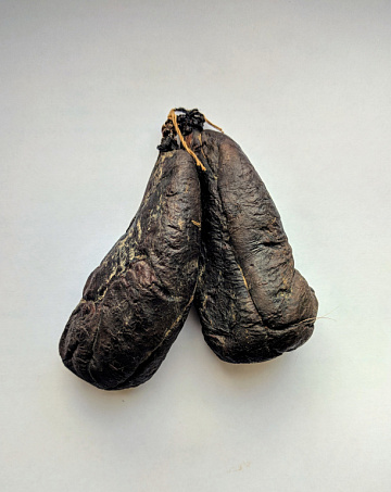 Мускус бобра (струя бобра вяленая) 80-120 г Фото Мускус бобра (струя бобра вяленая) 80-120 г