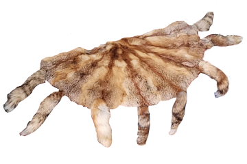 Ковры из лисицы Фото Ковры из лисицы