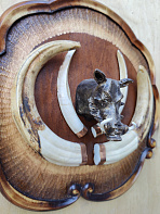 Клыки кабана на резном медальоне