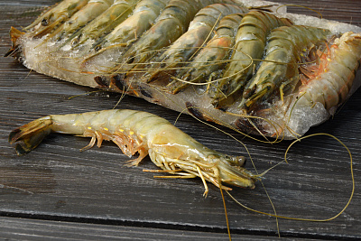 Превью Креветка черная тигровая с головой (16-20)