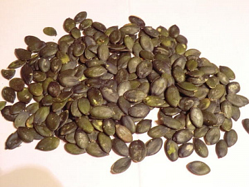 Семена штирийской тыквы Фото Семена штирийской тыквы