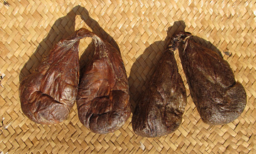 Мускус бобра (струя бобра вяленая) 180-250 г. пара Фото Мускус бобра (струя бобра вяленая) 180-250 г. пара