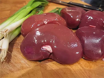 Почки медведя Фото Почки медведя