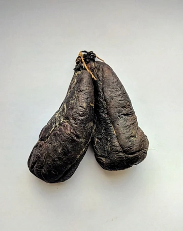 Мускус бобра (струя бобра вяленая) 250-360 г. пара Фото Мускус бобра (струя бобра вяленая) 250-360 г. пара