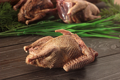 Превью Дикий вяхирь