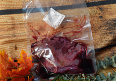 Лопатка бобра на кости